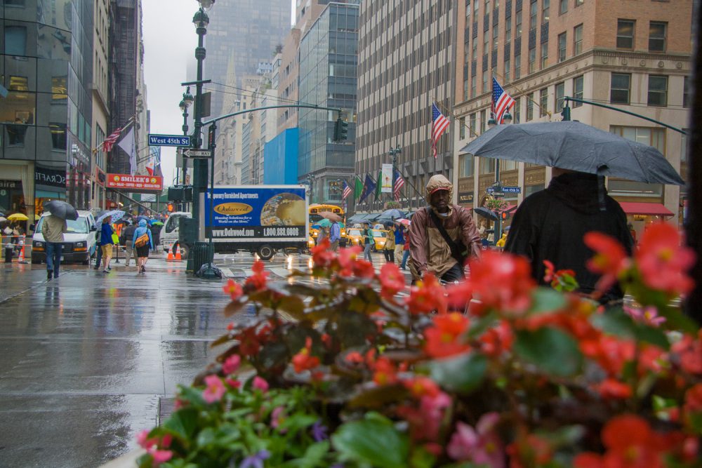 new-york-rain